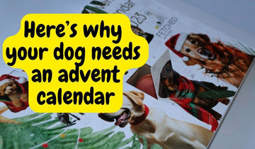 5 Reasons To Buy A Dog Advent Calendar - Natural Dog Supplements and Superfoods by Fetched