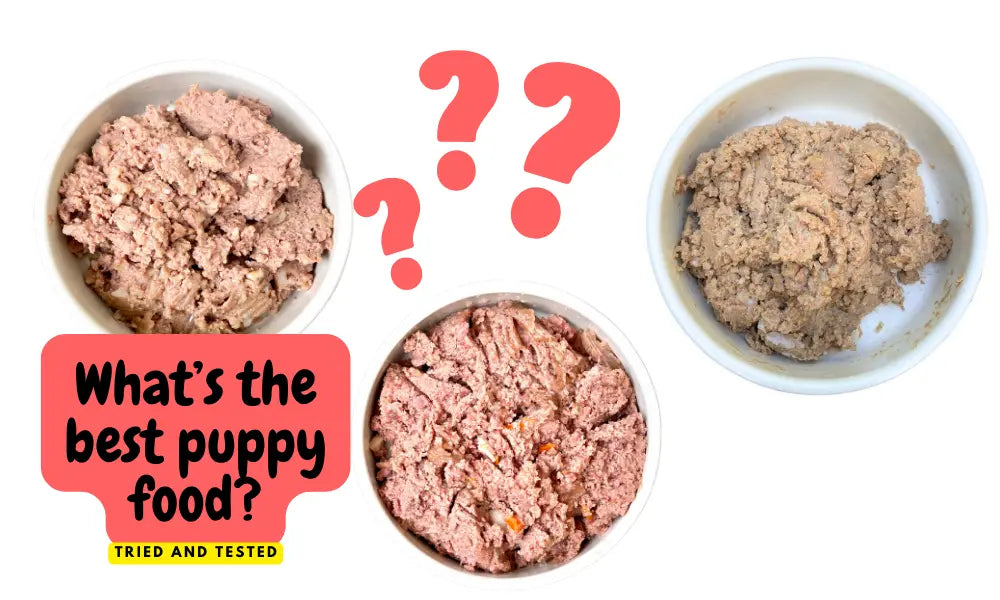 Best Puppy Food 2023 Dog Nutritionist Opinion