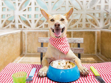 Can Dogs Eat Cream Cheese? (inc. Nutritional Analysis) - Natural Dog Supplements and Superfoods by Fetched
