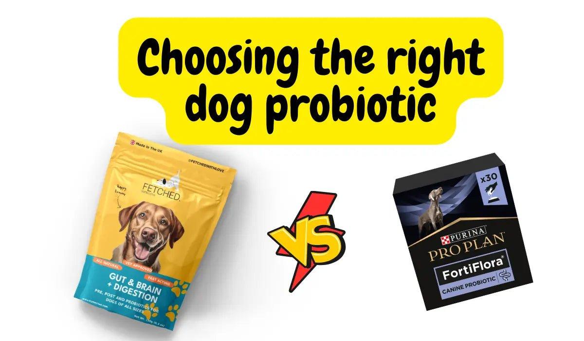 Canine probiotics online side effects