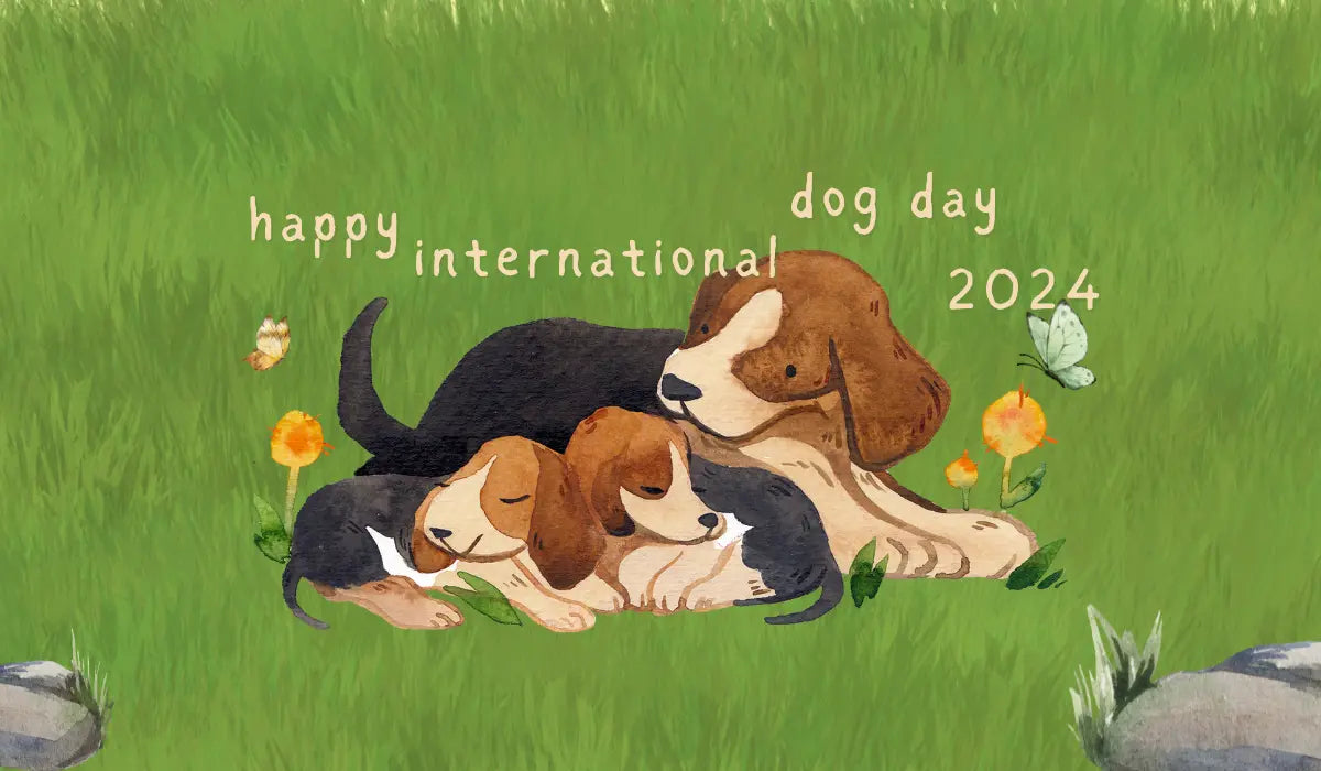 International Dog Day 2024