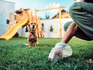Why Do Dogs Eat Poop? - Natural Dog Supplements and Superfoods by Fetched