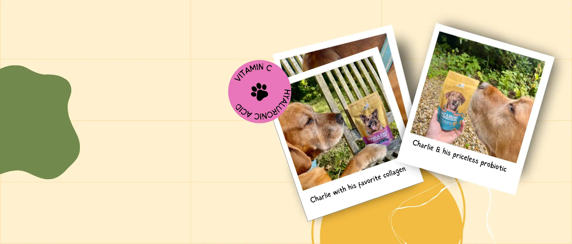 charlie the dog with collagen and probiotic supplements in the picture