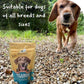 Charlie and his probiotic powder outside
