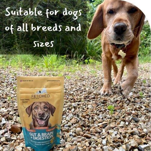 Charlie and his probiotic powder outside