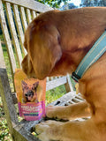 Collagen for Dogs with Hyaluronic Acid by Fetched - Natural Dog Supplements and Superfoods by Fetched