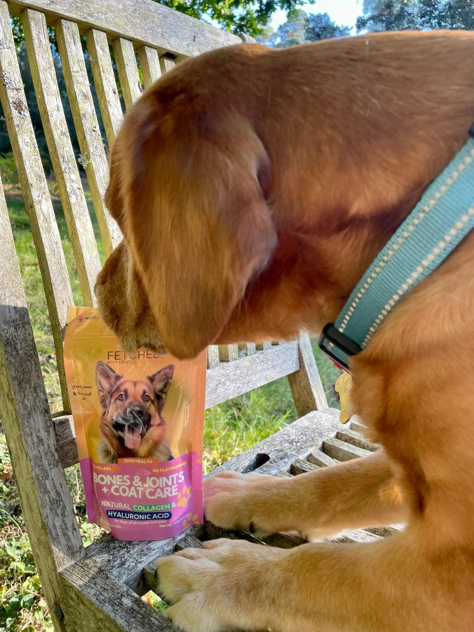 Collagen for Dogs with Hyaluronic Acid by Fetched - Natural Dog Supplements and Superfoods by Fetched