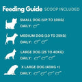 Probiotics for Dogs - Fetched - Dog Calming Tips, Tricks and Other Resources for Dog Owners