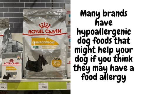hypoallergenic dog food