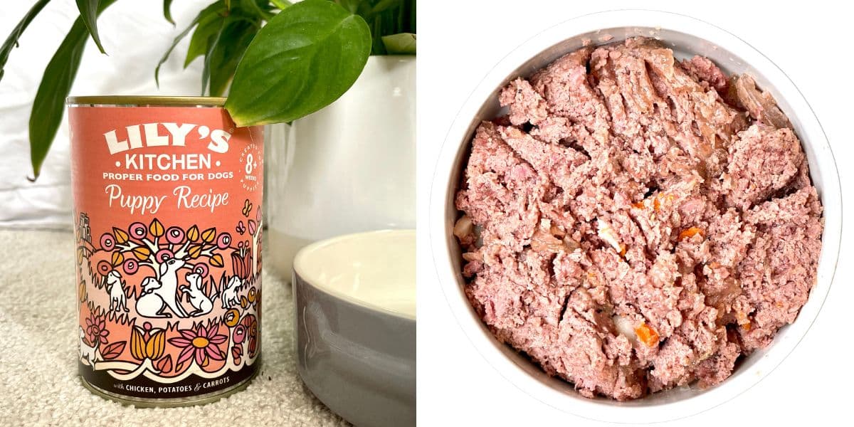 lily's kitchen wet puppy food