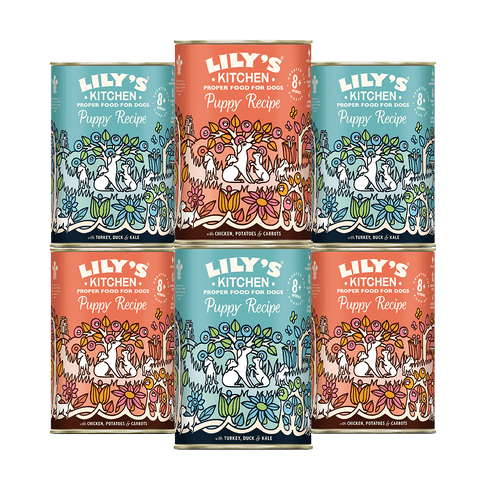 lily's kitchen tins