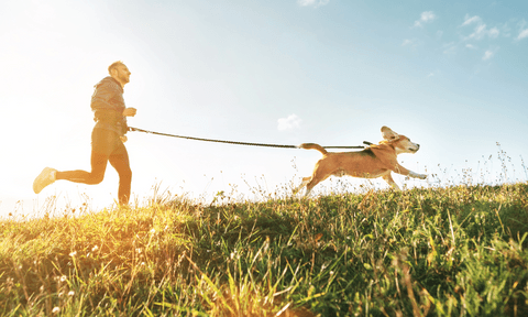 dog and owner running