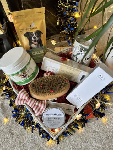 dog hamper basket