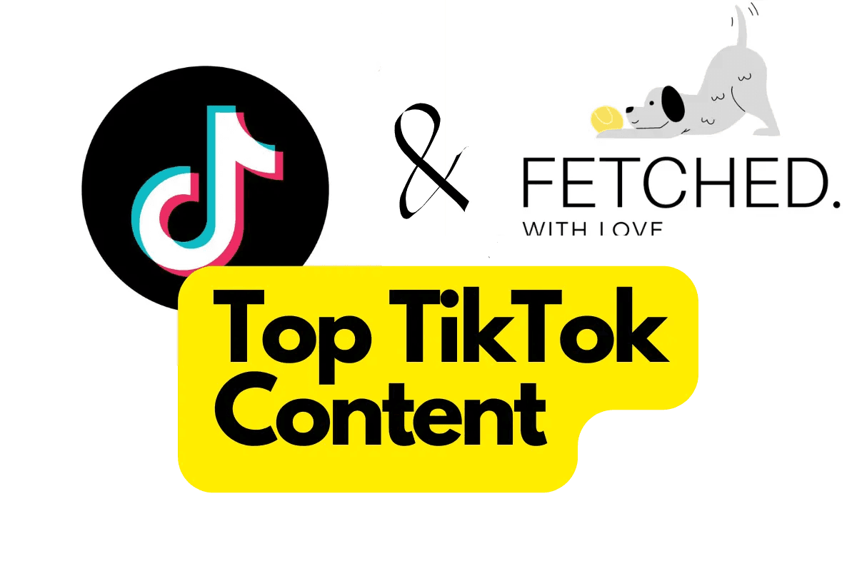 Our Top TikTok Videos on Dog Supplements