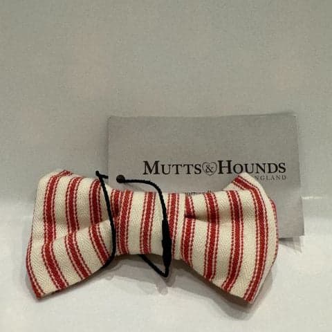 dog bow tie