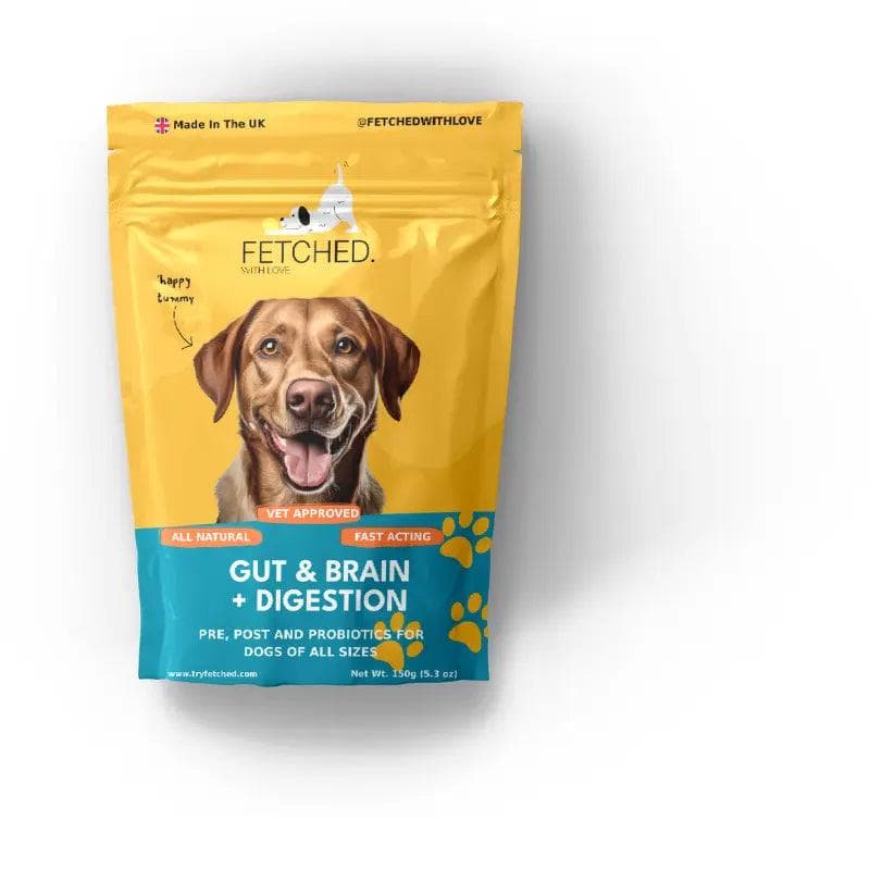 Probiotics for Dogs with Prebiotics: Gut, Brain and Digestion