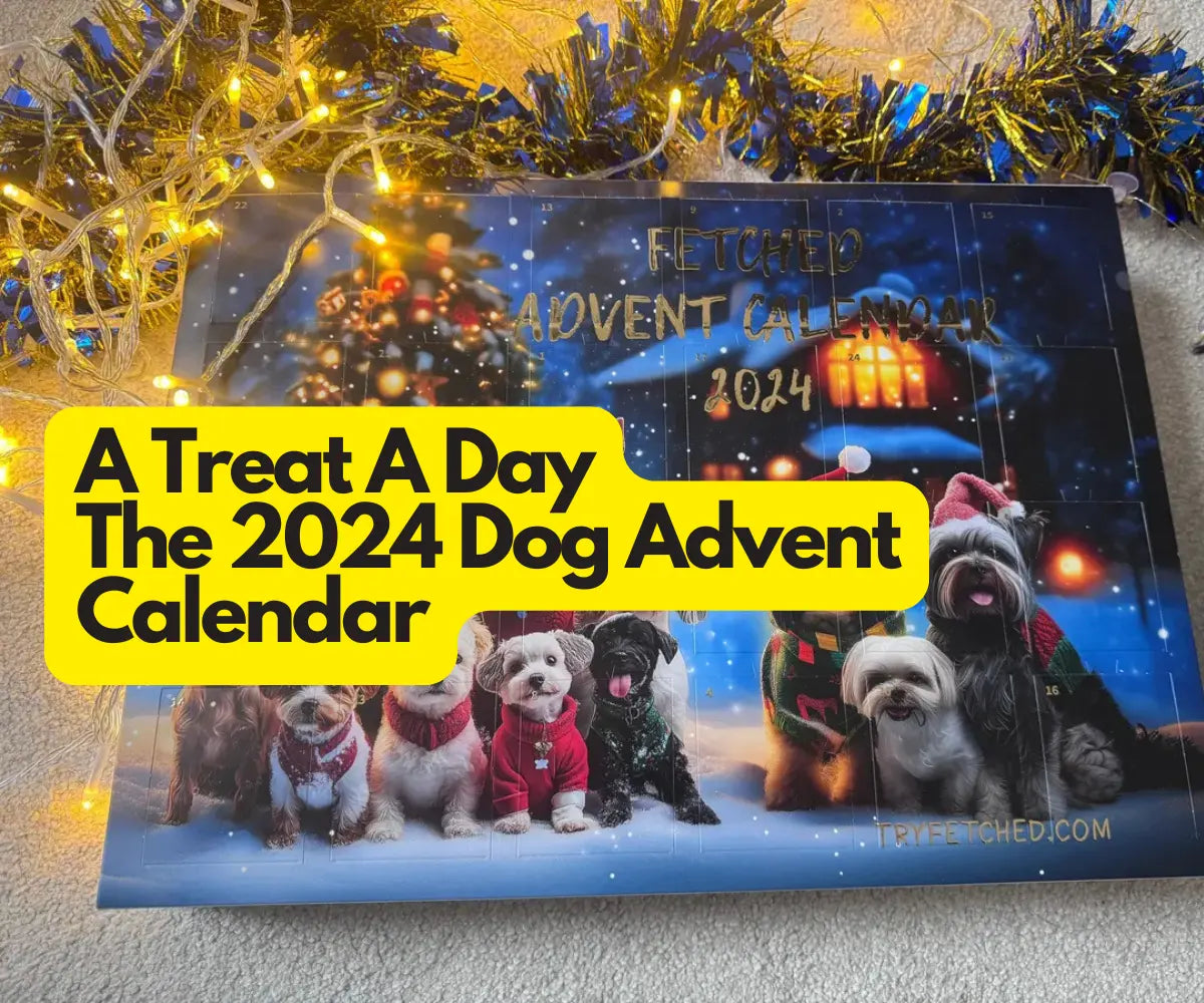 A Treat a Day: Make Your Dog's Countdown to Christmas Extra Special!