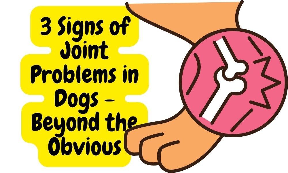 3 Signs of Joint Problems in Dogs - Beyond the Obvious - Natural Dog Supplements and Superfoods by Fetched