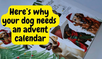 5 Reasons To Buy A Dog Advent Calendar - Natural Dog Supplements and Superfoods by Fetched