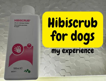 Hibiscrub for Dogs: Pros and Cons