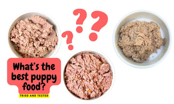 Best puppy food comparison for 2024