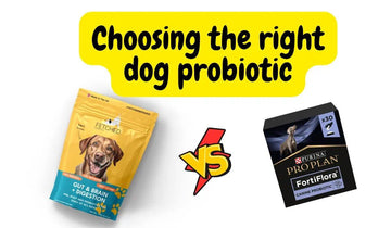 Choosing The Right Dog Probiotic - Natural Dog Supplements and Superfoods by Fetched