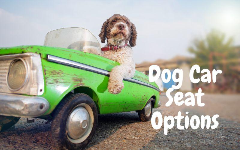 Dog Car Seat Selection: Safety & Comfort First - Natural Dog Supplements and Superfoods by Fetched