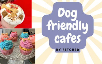dog friendly cafes featured image