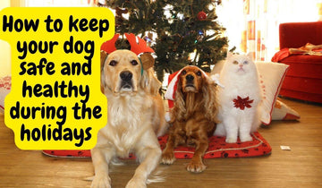 Keeping Your Dog Safe and Healthy During the Holiday Season - Natural Dog Supplements and Superfoods by Fetched