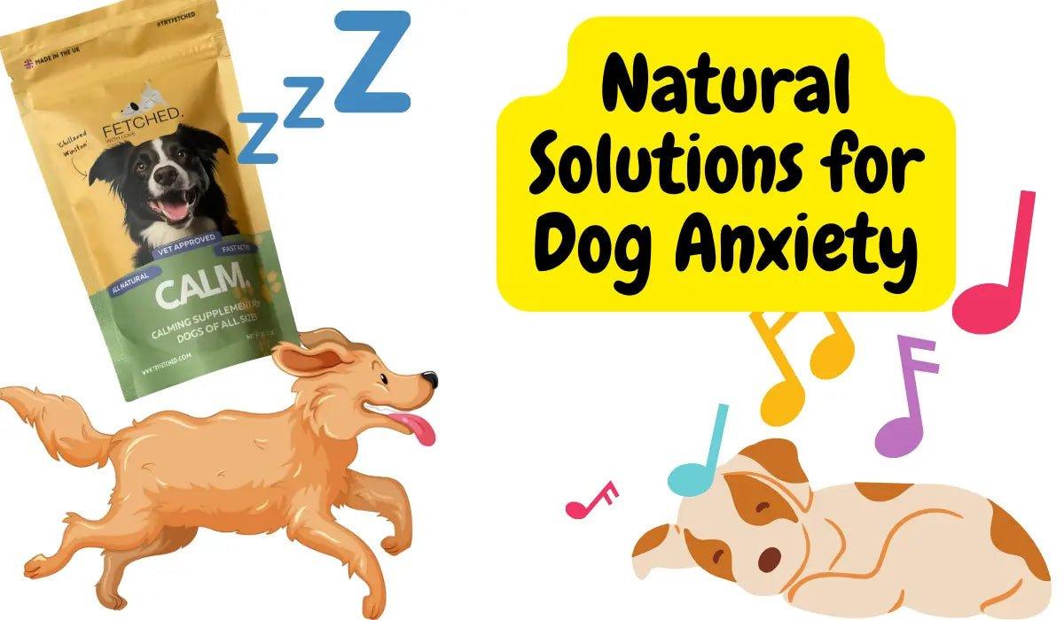 Natural Solutions for Dog Anxiety - Natural Dog Supplements and Superfoods by Fetched
