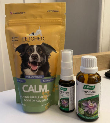 Passion Flower For Dogs: How Does It Work? - Natural Dog Supplements and Superfoods by Fetched