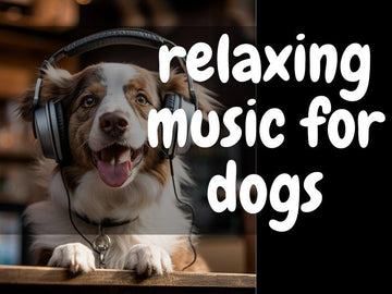 Relaxing Music for Dogs (links and suggestions) - Natural Dog Supplements and Superfoods by Fetched