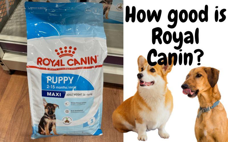 Royal Canin Puppy Food (Both Wet and Dry Options) - Natural Dog Supplements and Superfoods by Fetched