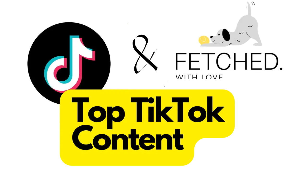 top tiktok content in text showing tiktok logo and fetched logo