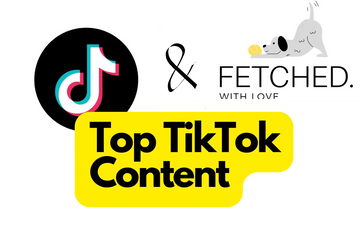 top tiktok content in text showing tiktok logo and fetched logo