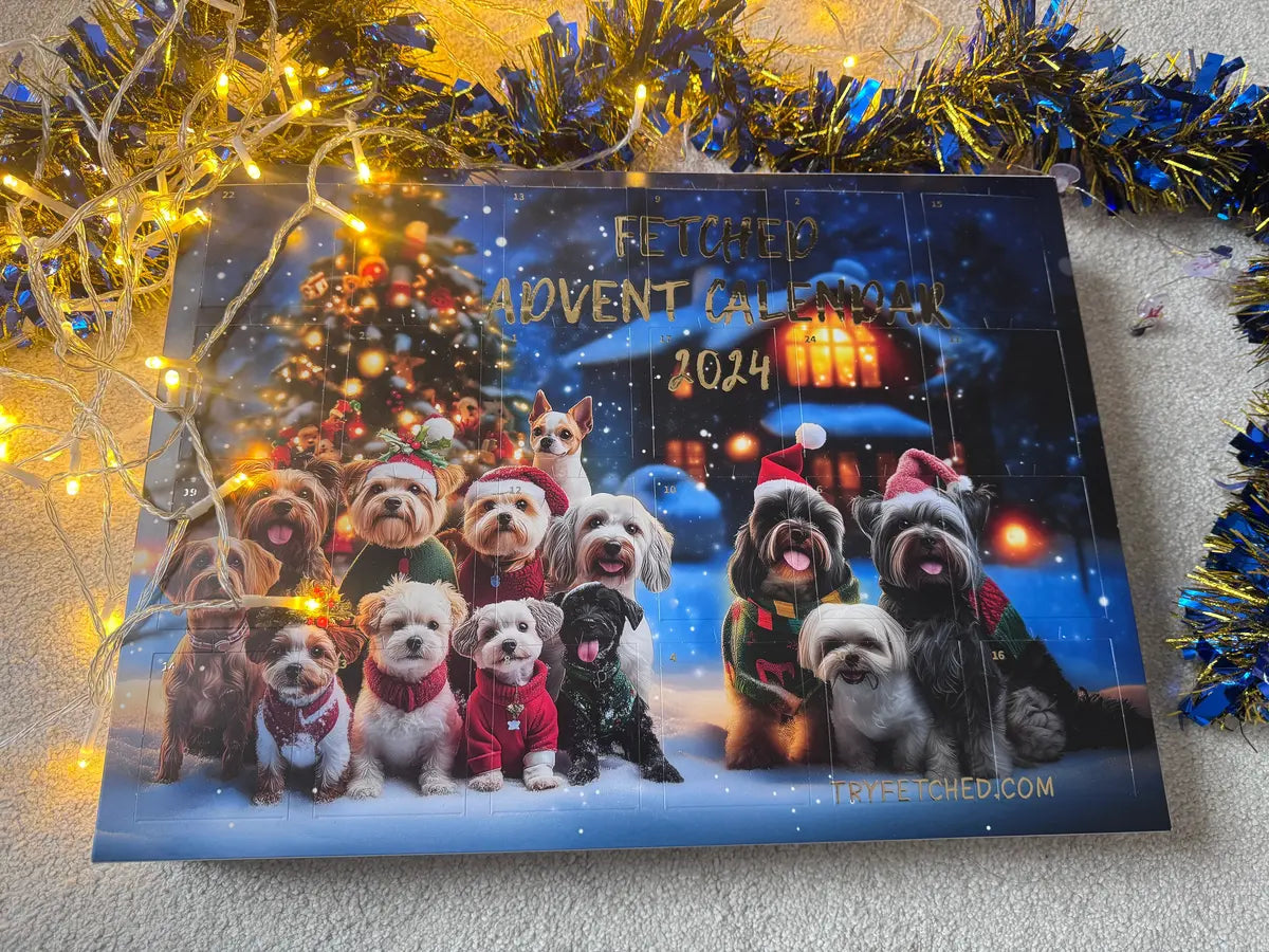 dog advent calendar 2024 landscape photo with christmas lights around