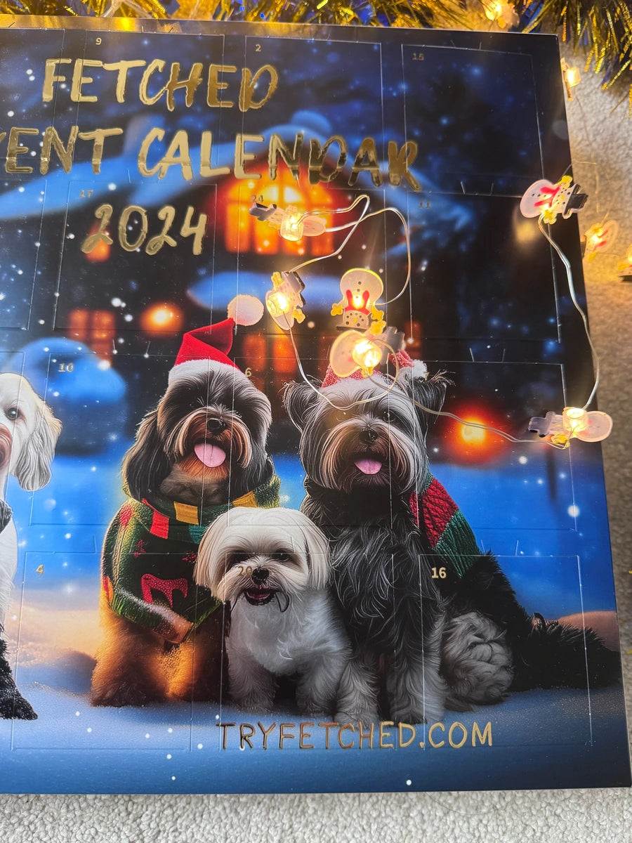 dog advent calendar zoomed in with christmas lights