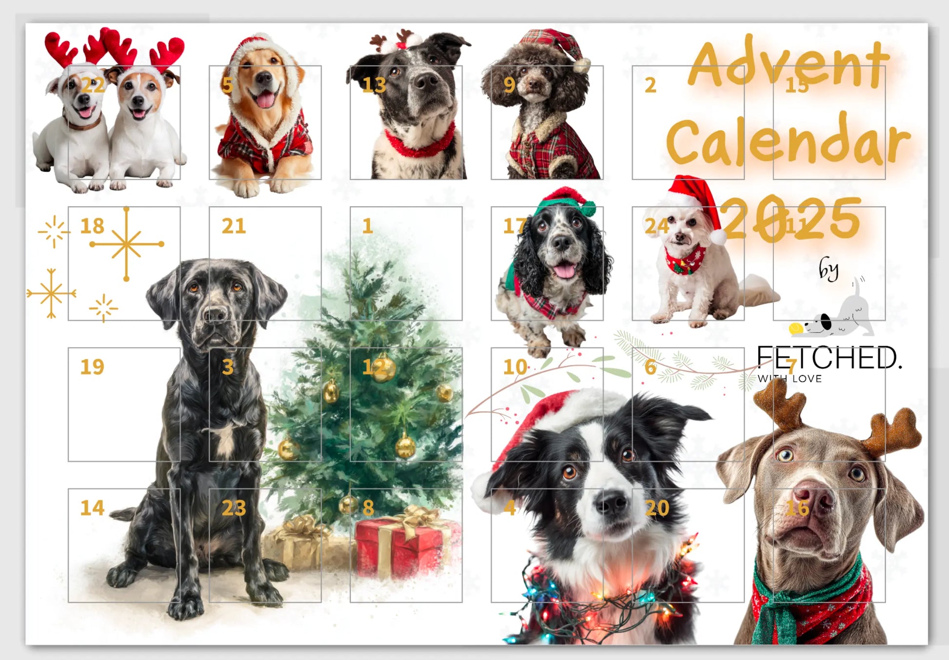 Advent calendar with dogs in festive attire and Christmas elements, featuring the brand 'Fetched'.