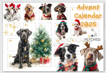 Advent calendar with dogs in festive attire and Christmas elements, featuring the brand 'Fetched'.