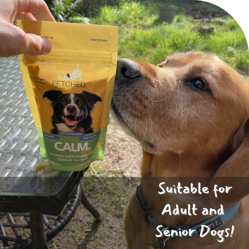 calming powder in a pouch on the table and labrador smelling it