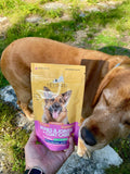 Charlie the dog and collagen supplement