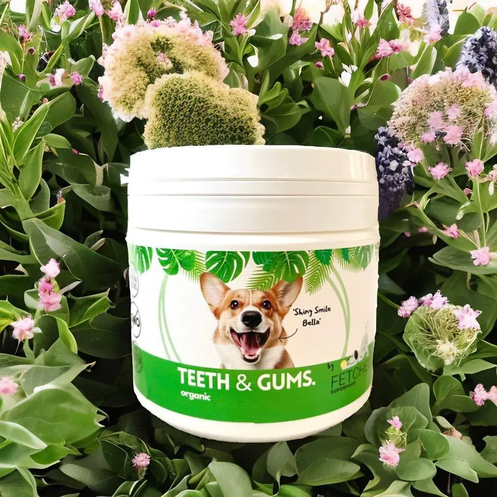 dog teeth cleaning powder with plants in background