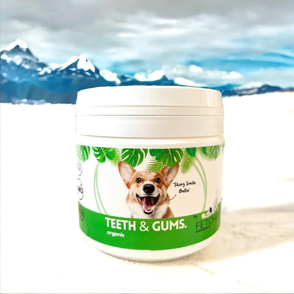 organic teeth cleaning powder for dogs