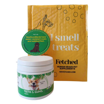 organic teeth cleaning powder for dogs and packaging