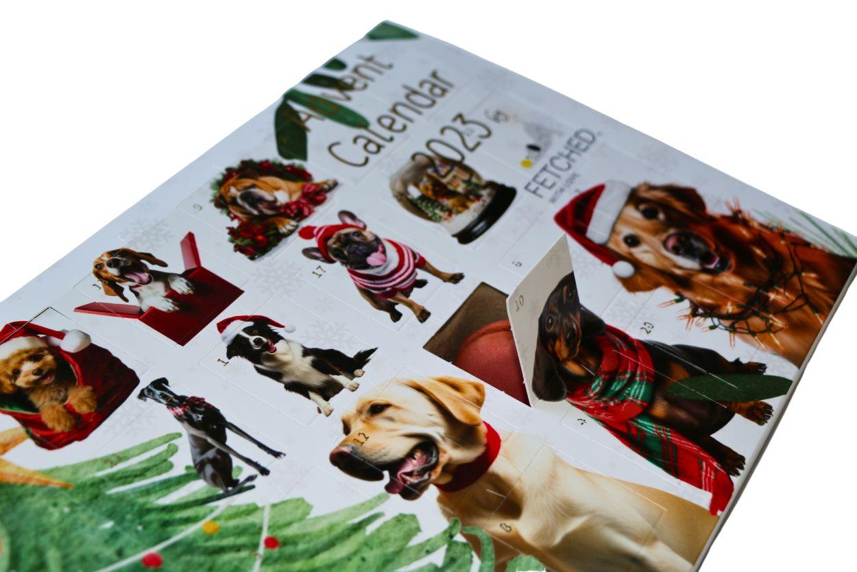 Dog Advent Calendar 2023 product photo, white background from left angle